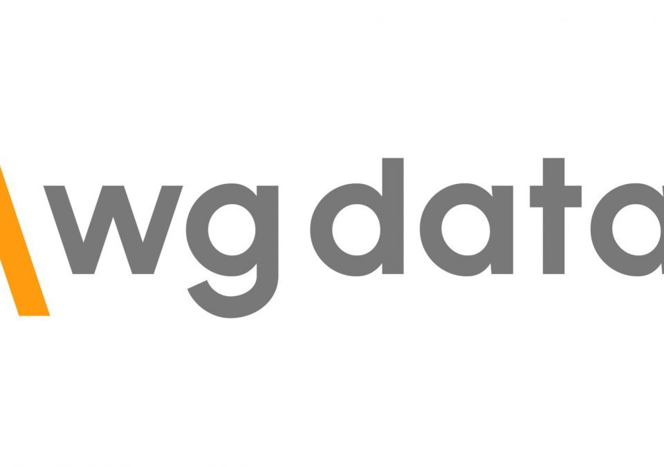 Hier sehen Sie das WG-DATA Logo.